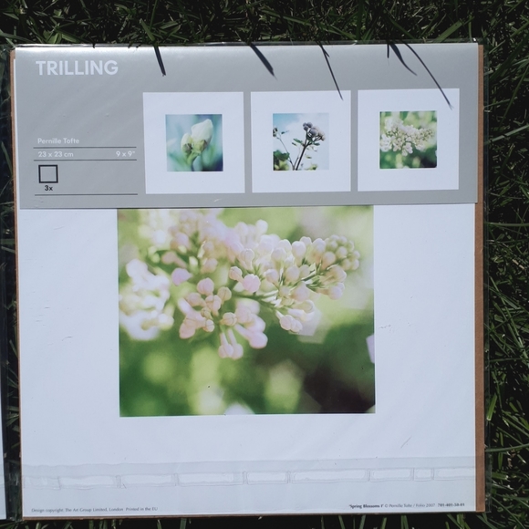 💥Free w/Purchase New Ikea TRILLING Flower Posters, set of 3 - Picture 4 of 6